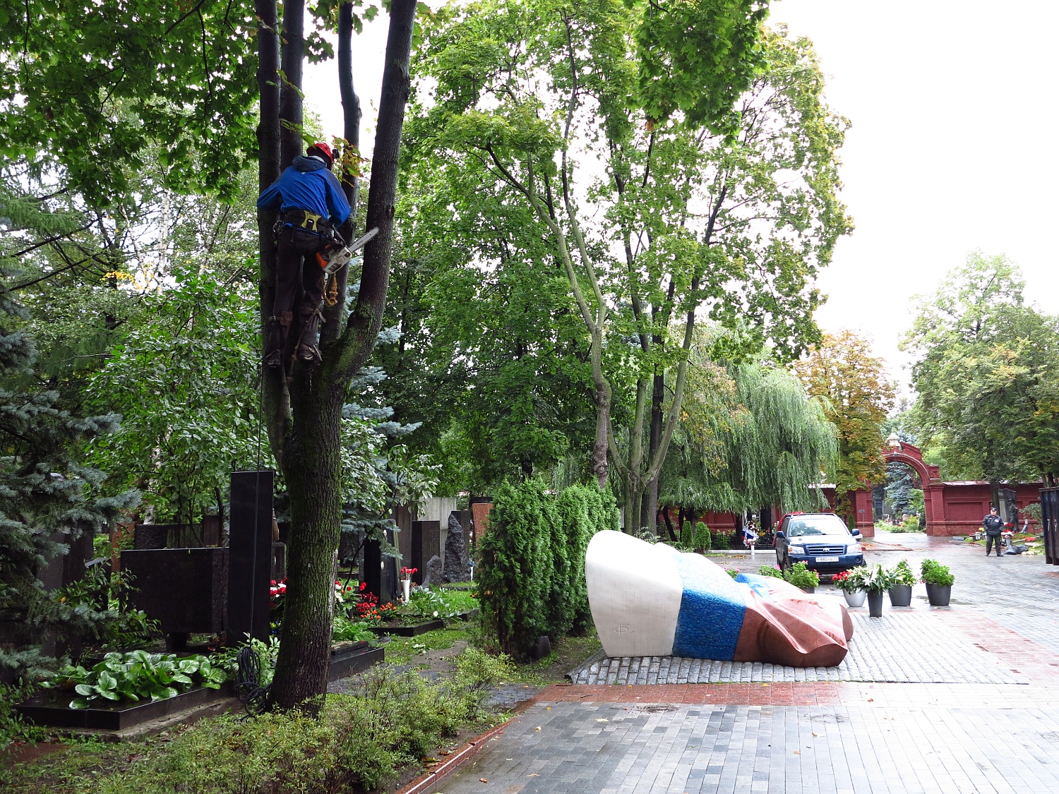 Удаление дерева могиле первого президента РФ - Ельцина Бориса Николаевича